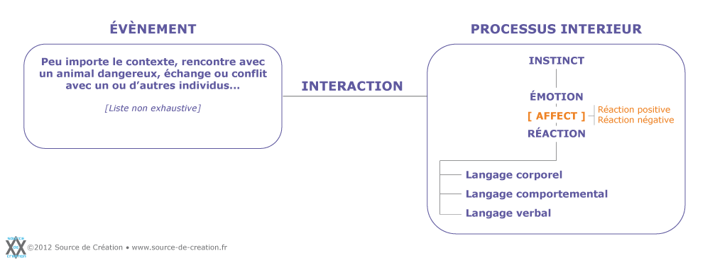 La Créa et la Com : l'affect dans le cadre du langage universel humain