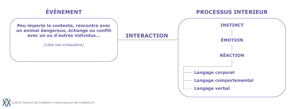 La Créa et la Com : le langage universel humain